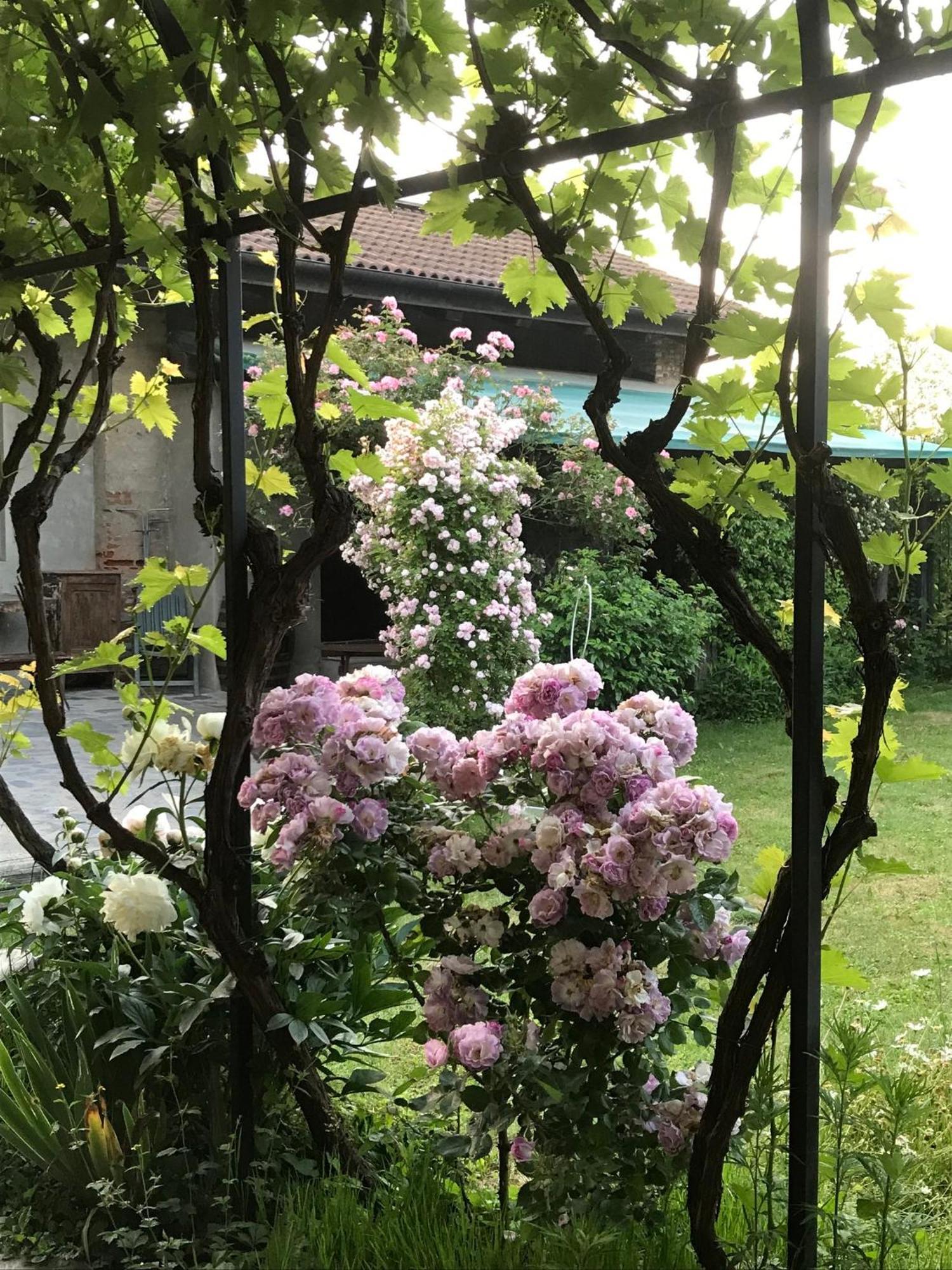 B&B Cascina Marie Bricherasio Экстерьер фото
